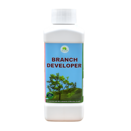 BRANCH DEVELOPER 500ML (45 BV)