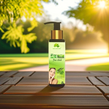 FACE WASH ALOE NEEM (10 BV)