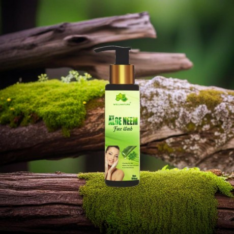 FACE WASH ALOE NEEM (10 BV)