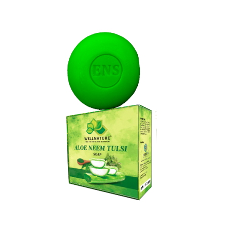 ALOEVERA NEEM TULSI SOAP (2.5 BV)