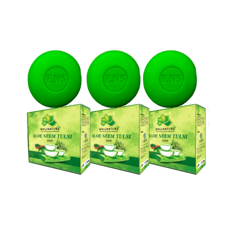 ALOEVERA NEEM TULSI SOAP (2.5 BV)
